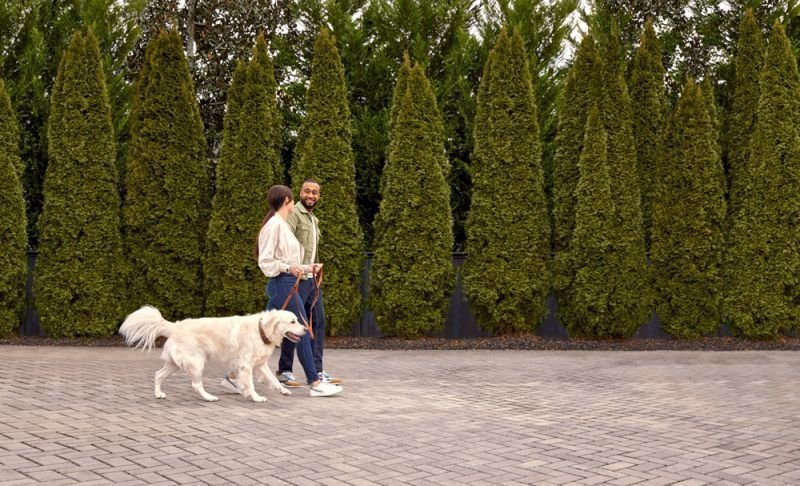 Garmin VIVOSMART 5 - Smarter Fitness Tracker – Bild 15