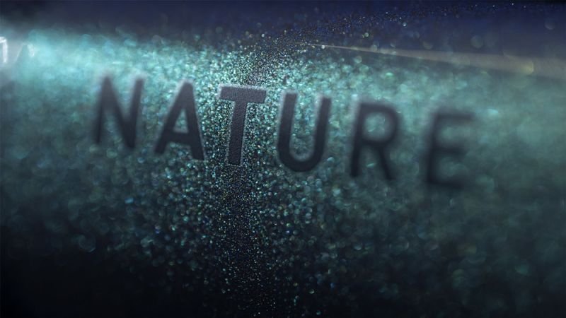 Cube Nature EXC verde´n´black – Bild 3