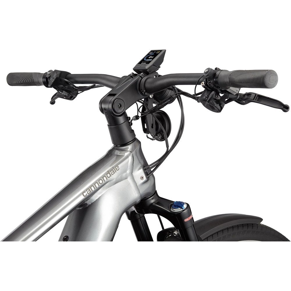 Cannondale Tesoro Neo X Speed grau. – Bild 5