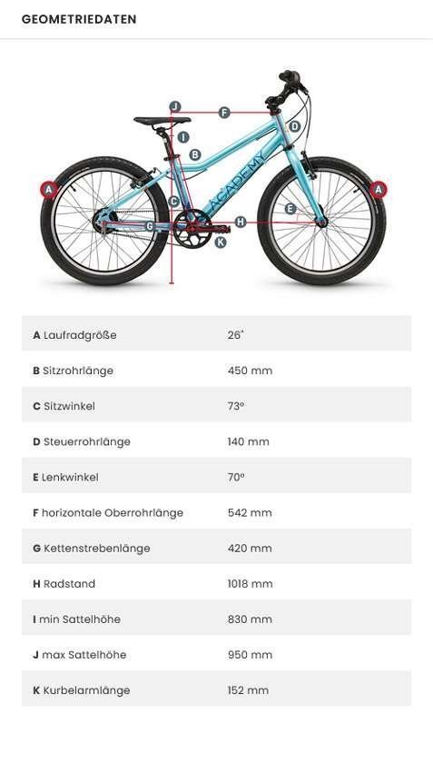 ACADEMY Grade 6 Belt Kinderfahrrad – Bild 6