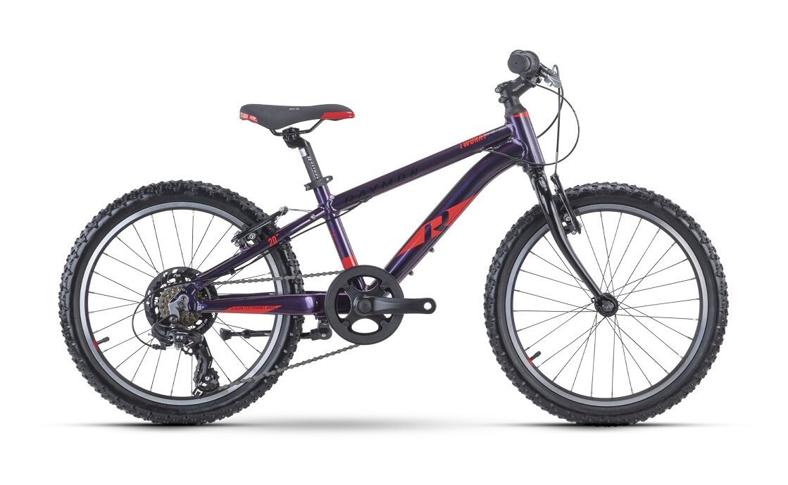 Raymon TwoRay 1.0 - 20 Zoll - Diamant - 2024